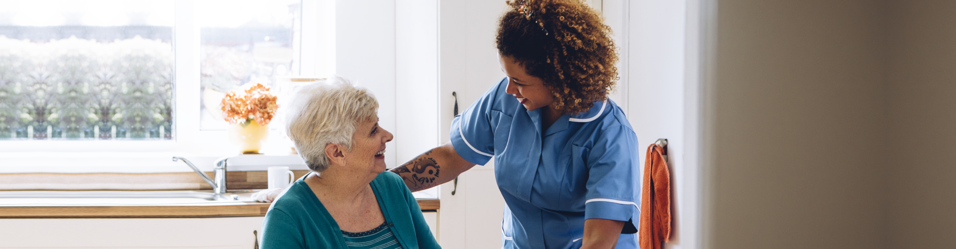 care worker giving an old lady her dinner in her home